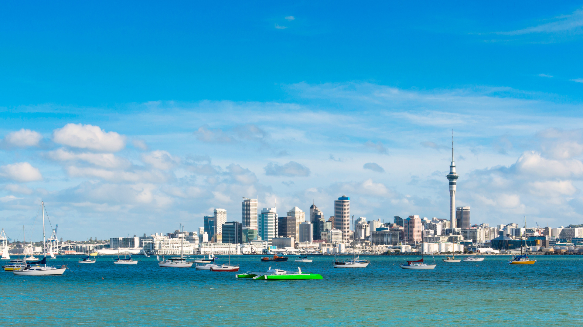 Auckland Property Managers